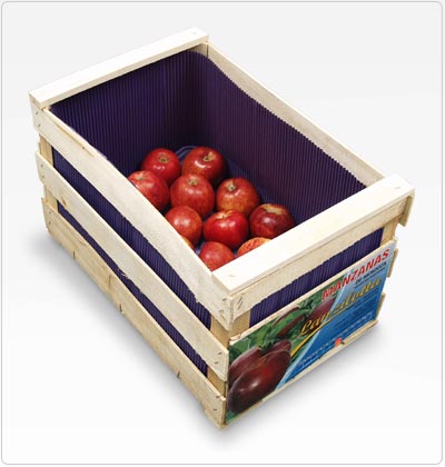 Propel - Corrugated cardboard