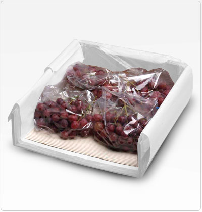 Propel - Carton Corrugado