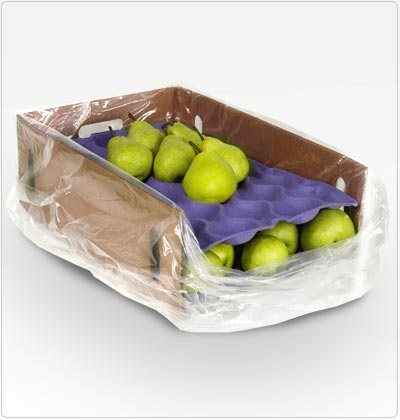 Propel - Molded pulp trays