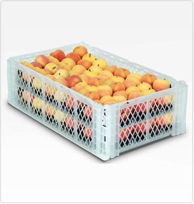Propel - Plastic boxes