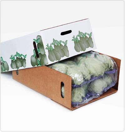 Propel - Plastic bags