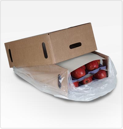 Propel - Cardboard 