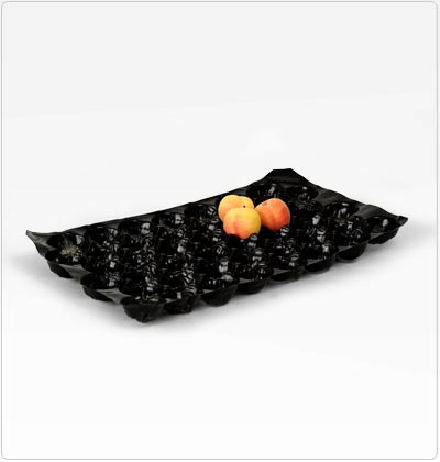 Propel - Polypropylene trays