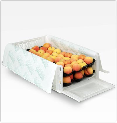 Propel - Polypropylene trays