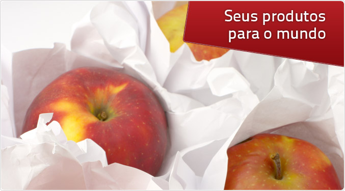 Procesadora de Papel