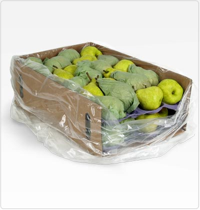 Propel - Papel Sulfito frutero