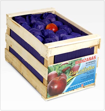 Propel - Papel Sulfito frutero